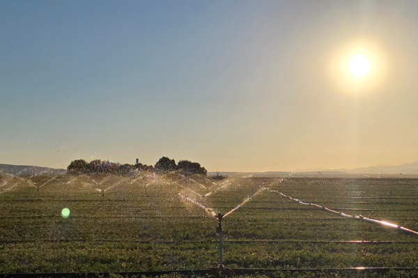 Erzurum İl Tarım ve Orman Müdürlüğü’nün 2025 yılı faaliyetleri