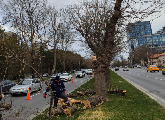 İstanbul’da lodos etkili oluyor