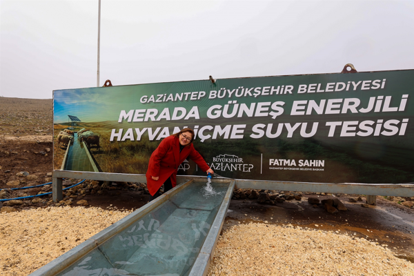 “Merada Hayvanlar Refah İçinde Suyla Buluşuyor Projesi” kapsamında destekler sürüyor