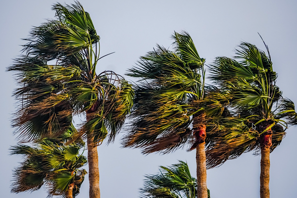 Konya, Karaman ve Niğde için kuvvetli fırtına uyarısı