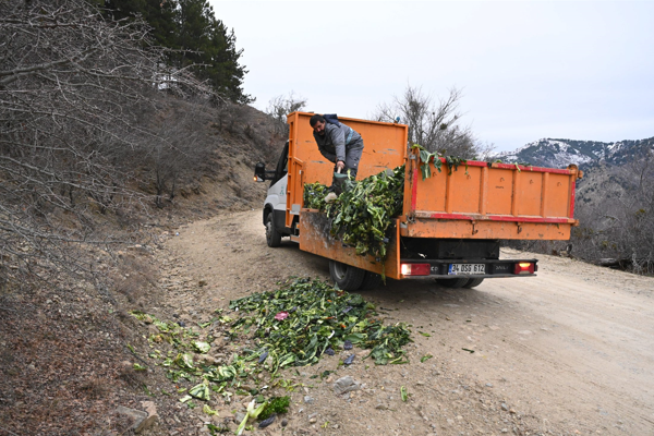 Isparta’da yaban hayvanları için atık yiyecekler ayrıştırılıyor