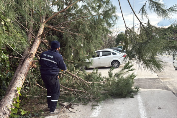 Sapanca Belediye ekipleri şiddetli rüzgar ve fırtınada sahada