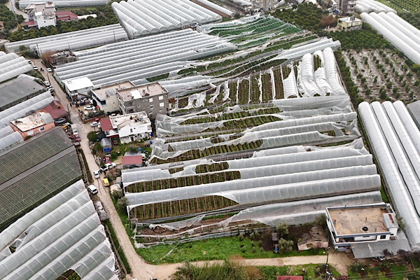 Finike’de hortumdan zarar gören seralarda hasar tespiti yapıldı