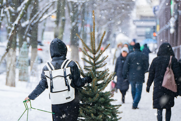 Tunceli’de kar yağışı nedeniyle okullara 1 günlük tatil