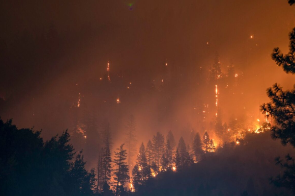ABD’de bazı eyaletler, iklim felaketlerinin faturasını kirleticilerin ödemesini istiyor
