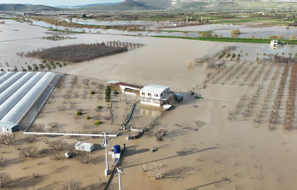 İzmir İtfaiyesi, taşkınlarda mahsur kalan hayvanlar için çalışma başlattı