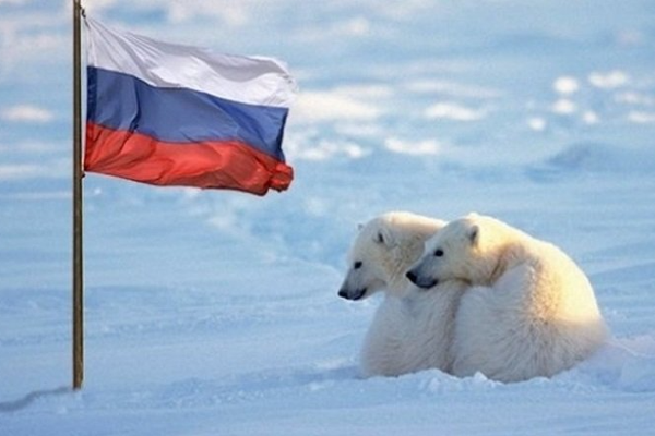 NATO, Arktik’teki varlığını güçlendiriyor