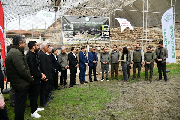 Vali Şıldak Kelaynakların doğaya salınma programına katıldı