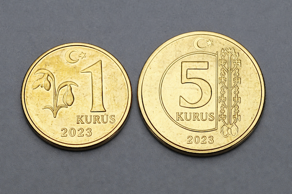 DMM: “Darphane 1 ve 5 kuruş madeni para basmayı durdurdu” iddiası dezenformasyondur