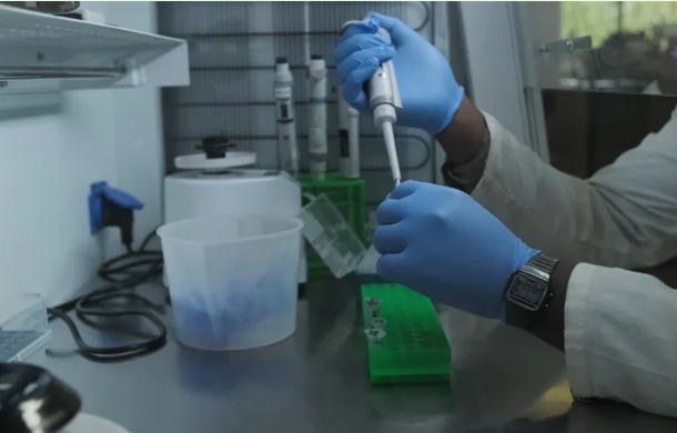 Aslan DNA’sı, kaçak avcıların ilk kez mahkum edilmesine yardımcı oldu