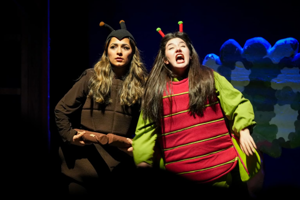 Trabzon’da “Ağustos Böceği ve Karınca” oyunu sahnelendi