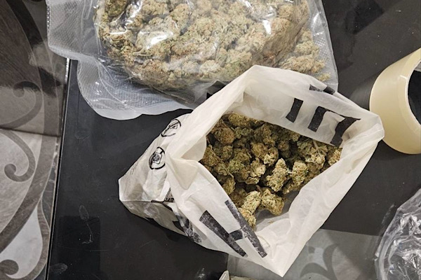 Bulgaristan’da Montana ve Lom bölgelerinde operasyon düzenlendi