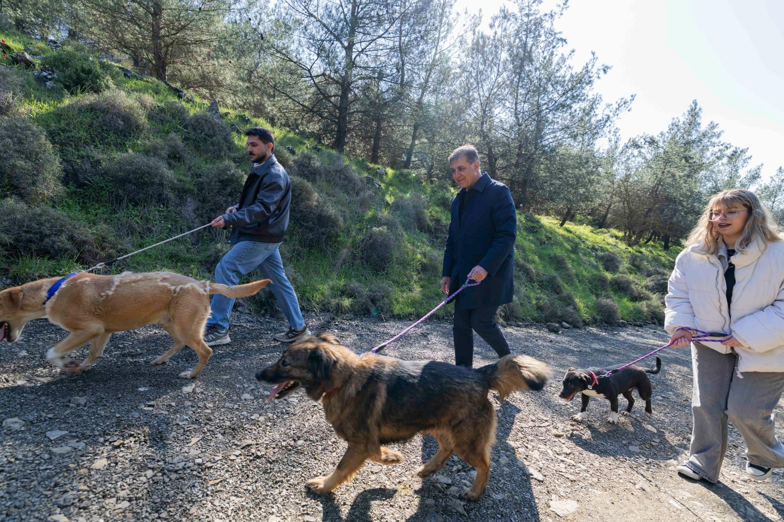 İzmir’de iki yılda 37 bin 146 hayvan kısırlaştırıldı