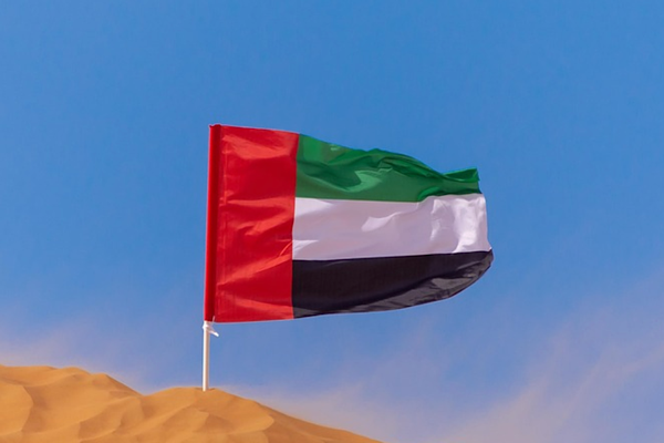 BAE Savunma Bakanlığı: 7 balistik füze ve 16 insansız hava aracına karşı önlem alındı