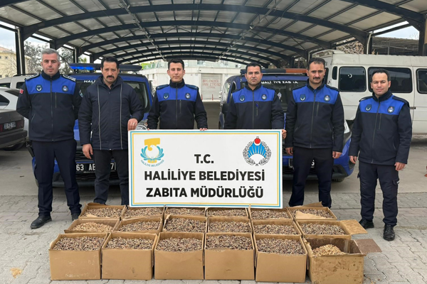 Haliliye’de baklava imalathanelerine yönelik denetim