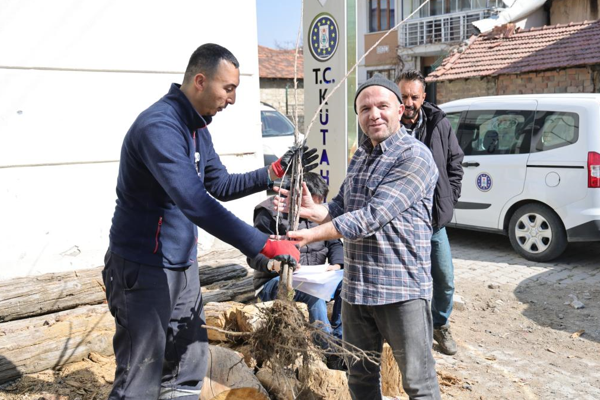 Kütahya’da kiraz fidanı dağıtım programı gerçekleştirildi