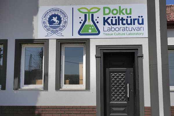 Samsun’da Bitki Doku Kültürü Laboratuvarı açılıyor