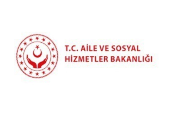 Bakanlıktan kadın TIR şoförü teşviki iddialarına yalanlama