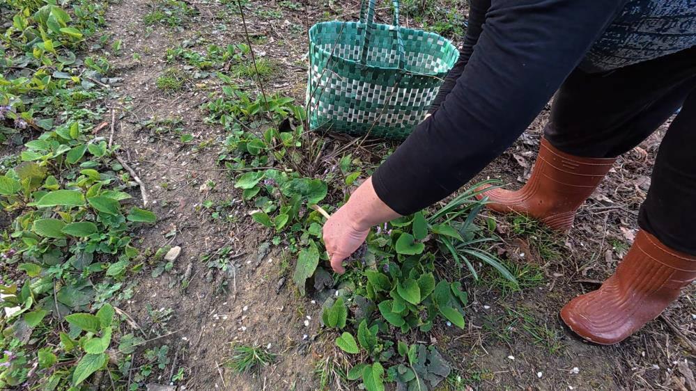 Zılbıt pazarlarda ilgi görüyor