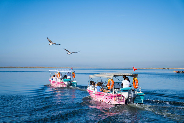 Flamingo Yolu turları Kurban Bayramı’nda gerçekleştirilecek