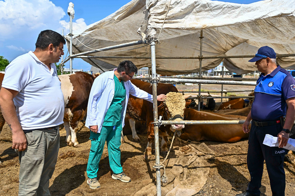 Muratpaşa’da Kurban Bayramı hazırlıkları tamamlandı
