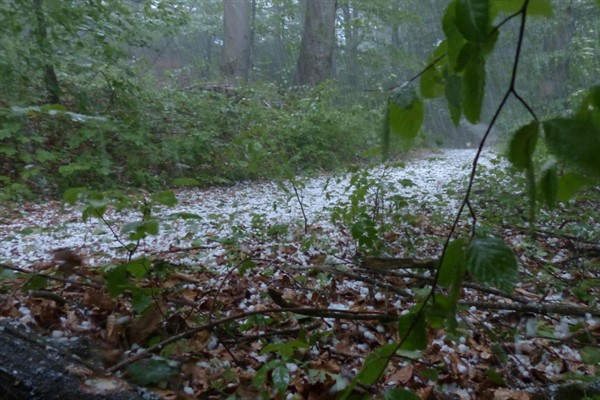 Meteoroloji’den kuvvetli yağış uyarısı