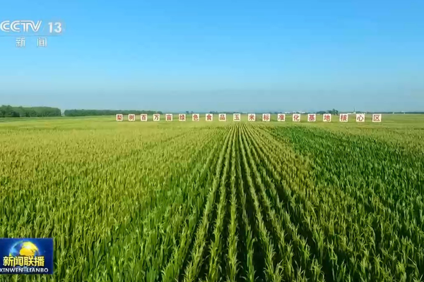 Çin ekonomisinin yüksek kaliteli büyümesine Yeni Kalkınma Anlayışı yön veriyor