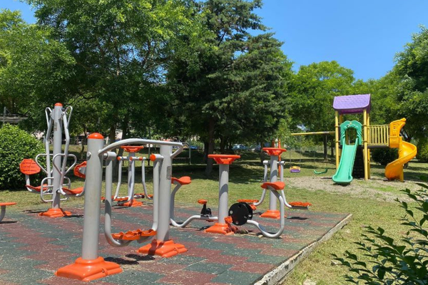 Düzce Belediyesi Park ve Bahçeler Müdürlüğü 5 aylık faaliyet raporunu paylaştı