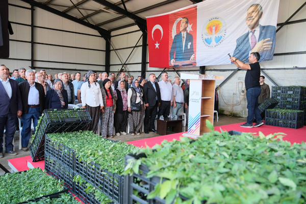 Adana Aladağ’da, üreticilere 400 bin domates fidesi desteği
