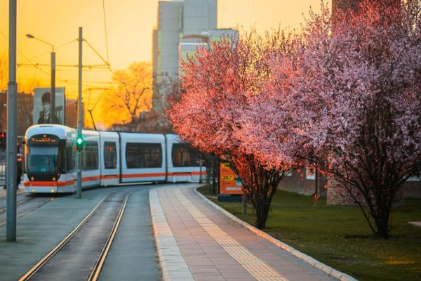 Eskişehir’de tramvaylarda yaz tarifesi başlıyor