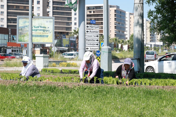 Osmangazi’de yazlık çiçek dikim çalışmaları başlatıldı