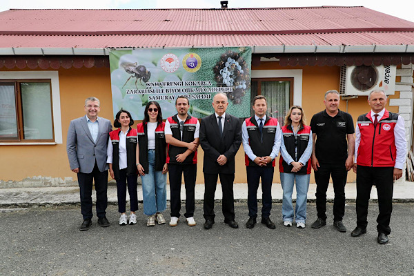 Ordu’da 300 bin samuray arısı doğaya bırakıldı