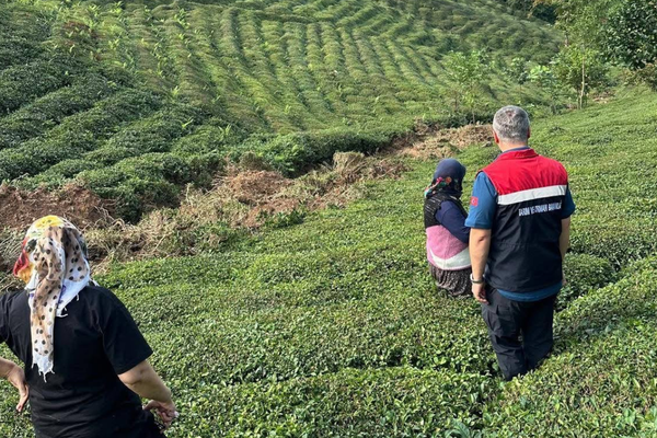Rize’de tarım alanlarında hasar tespit çalışmaları sürüyor