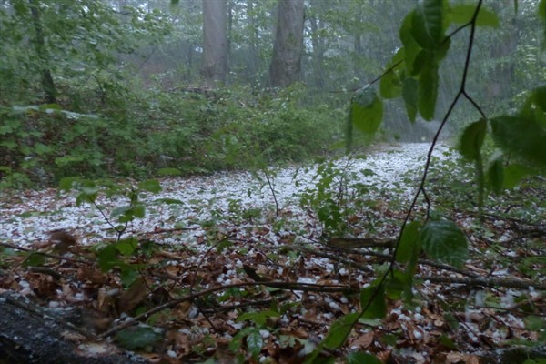 Meteoroloji’den kuvvetli yağış ve rüzgar uyarısı