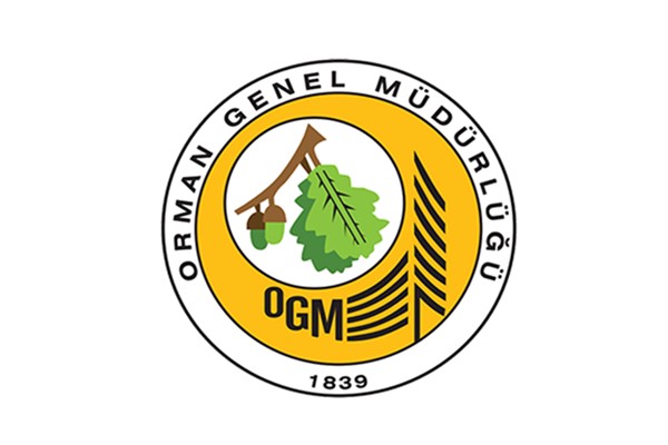 OGM: Muğla Menteşe’deki yangın büyük ölçüde kontrol altında