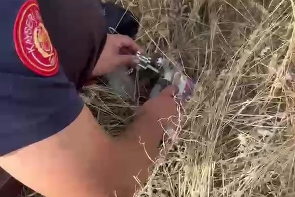 Kayseri’de kafası konserve kutusuna sıkışan kediyi itfaiye kurtardı