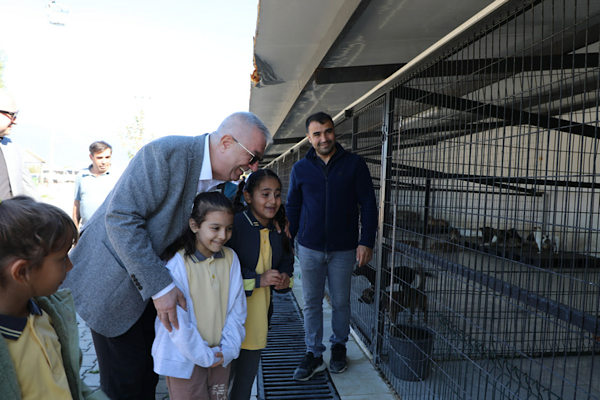 Edremit’te Dünya Hayvanları Koruma Günü kapsamında etkinlik düzenlendi