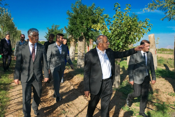 Büyükşehirden yıllık 20 bin fidan ile 50 bin metrekare rulo çim üretimi
